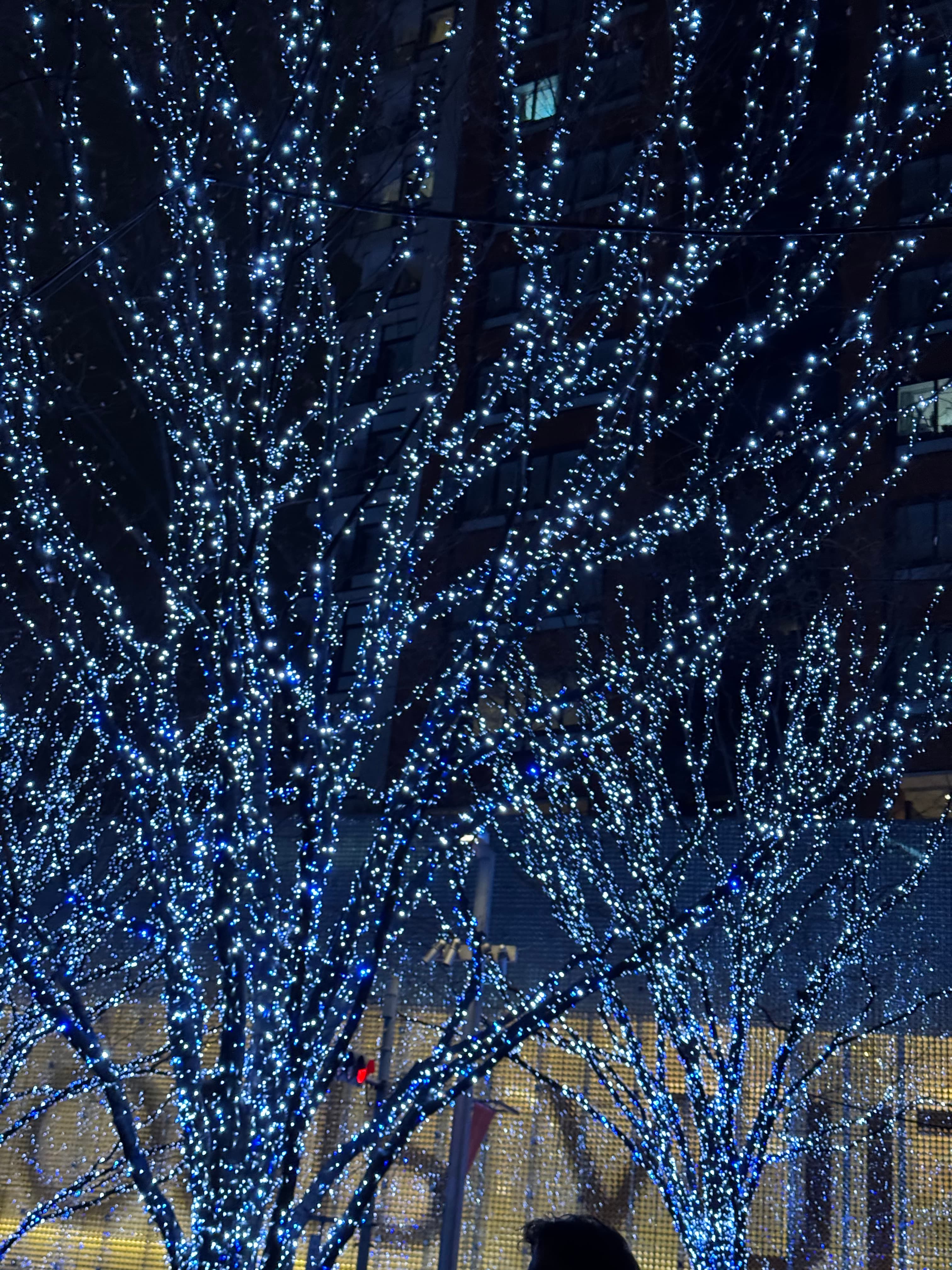 Christmas illumination